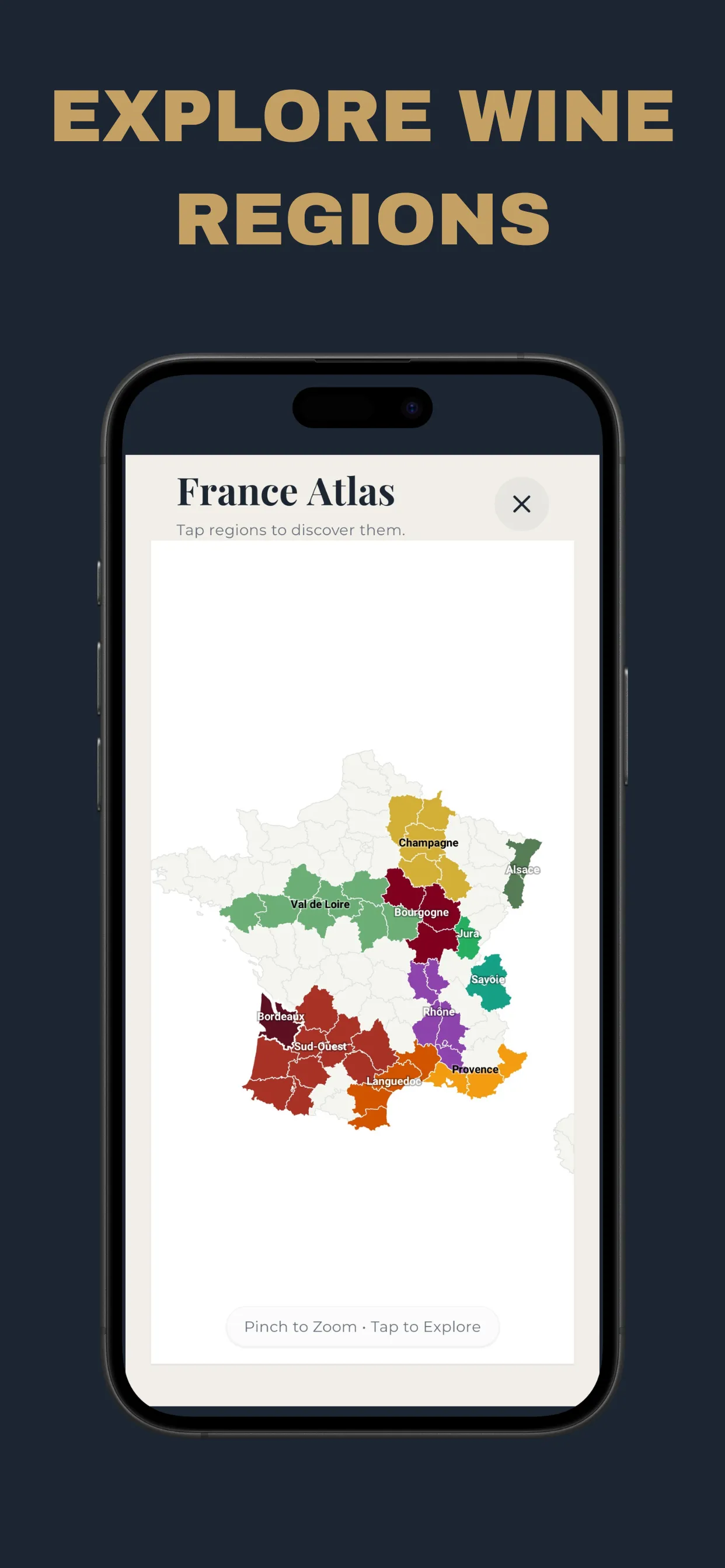 Interactive Maps
