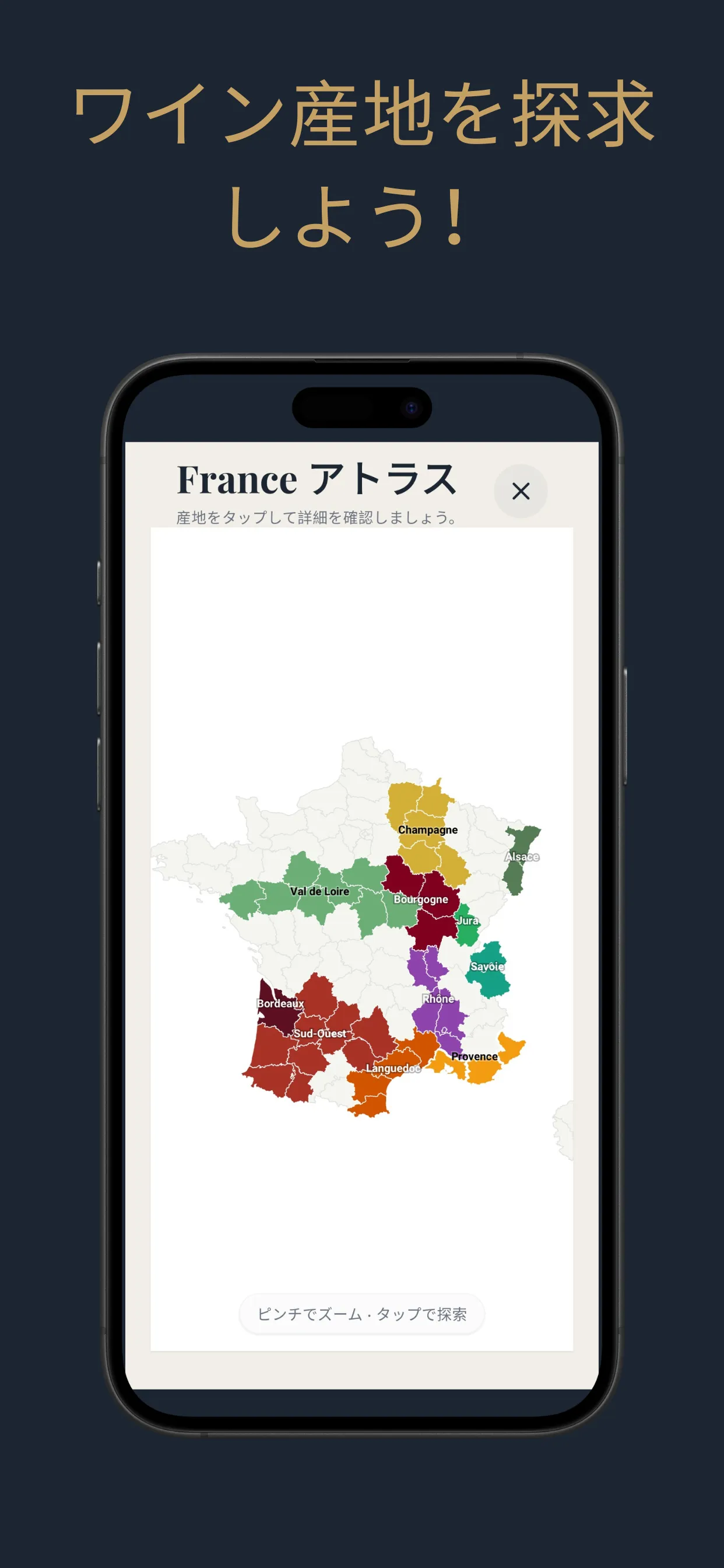 ワイン地図